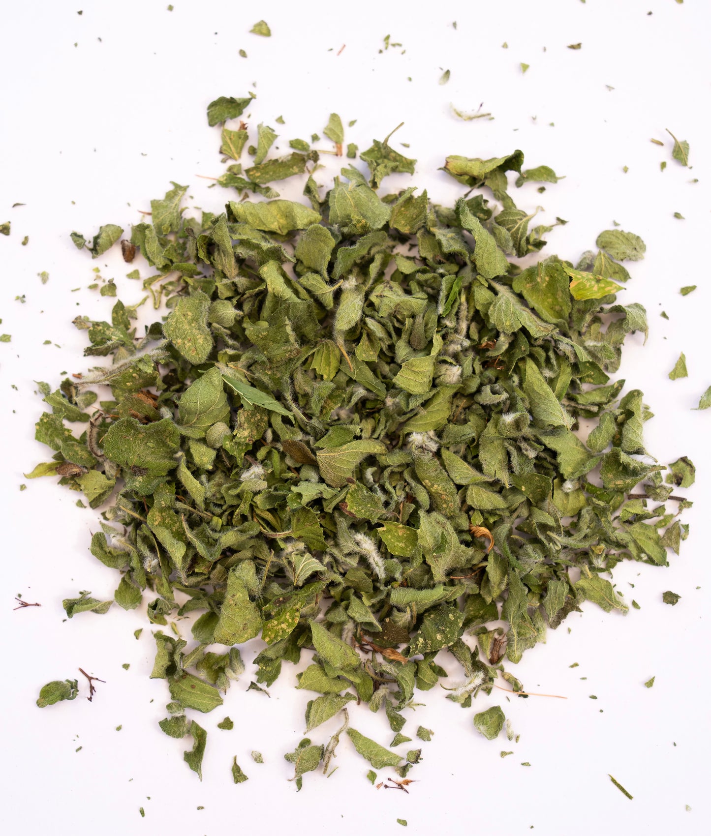 Infusion Nepita