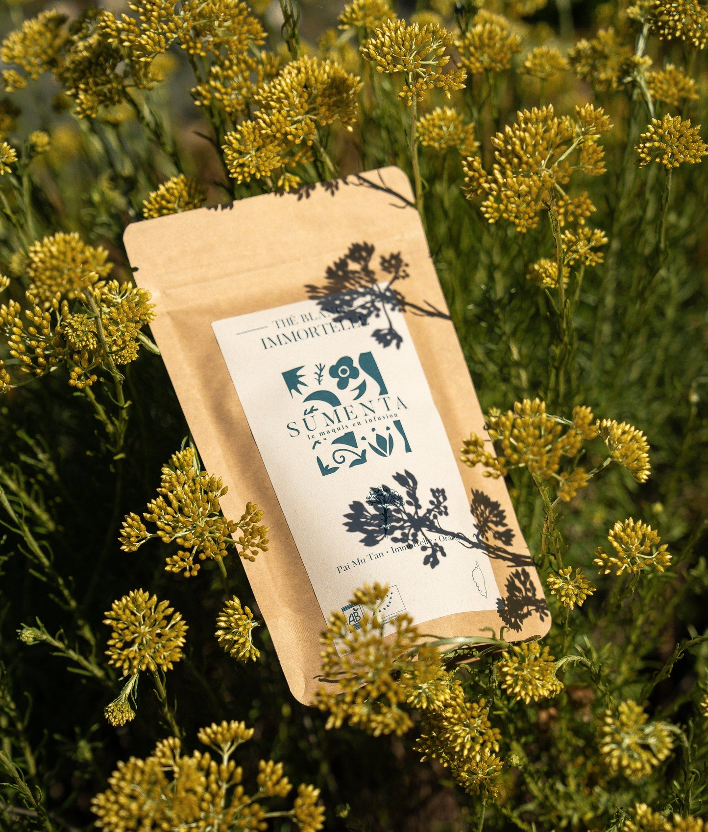 Thé blanc à l'immortelle