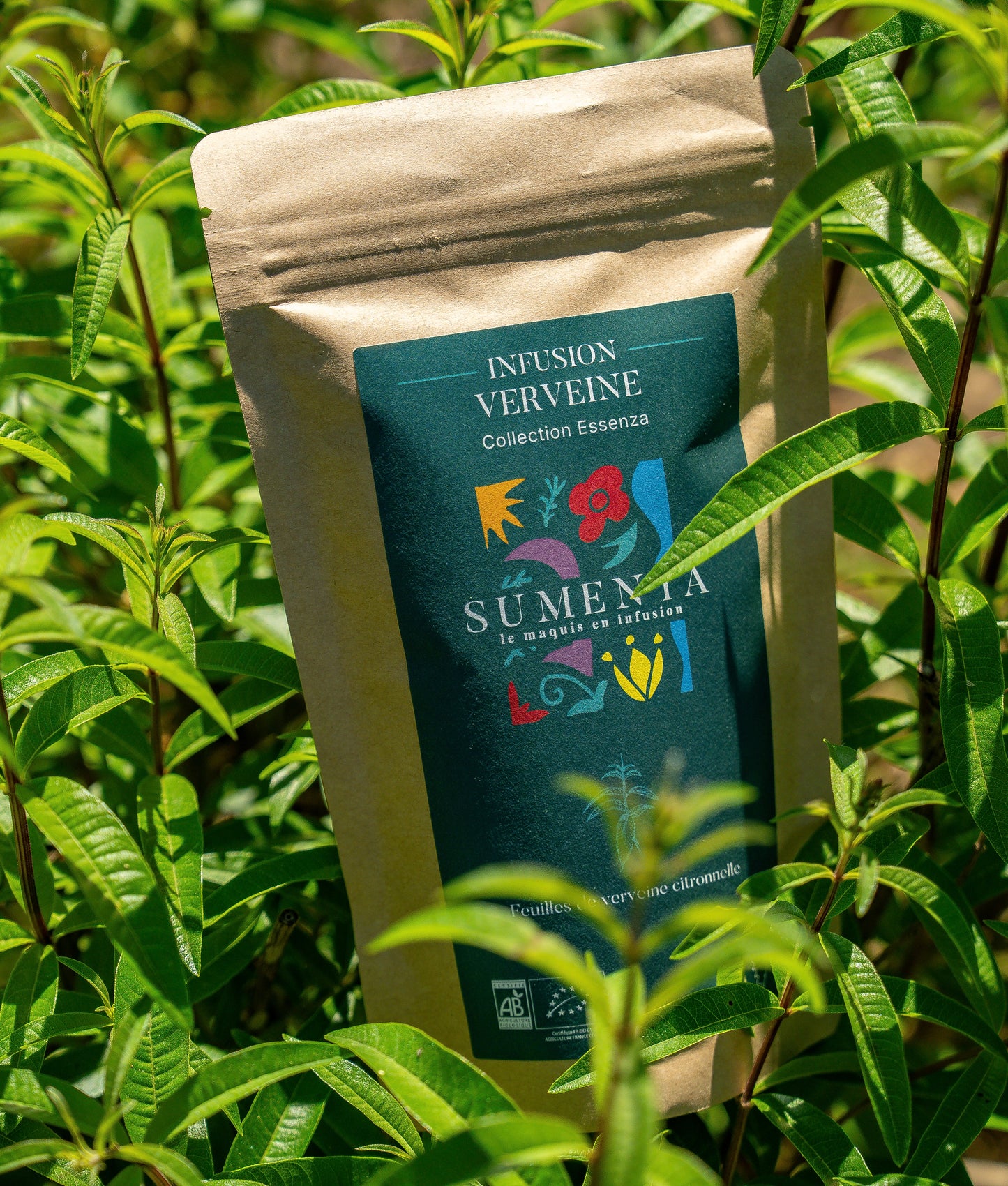 Infusion Verveine