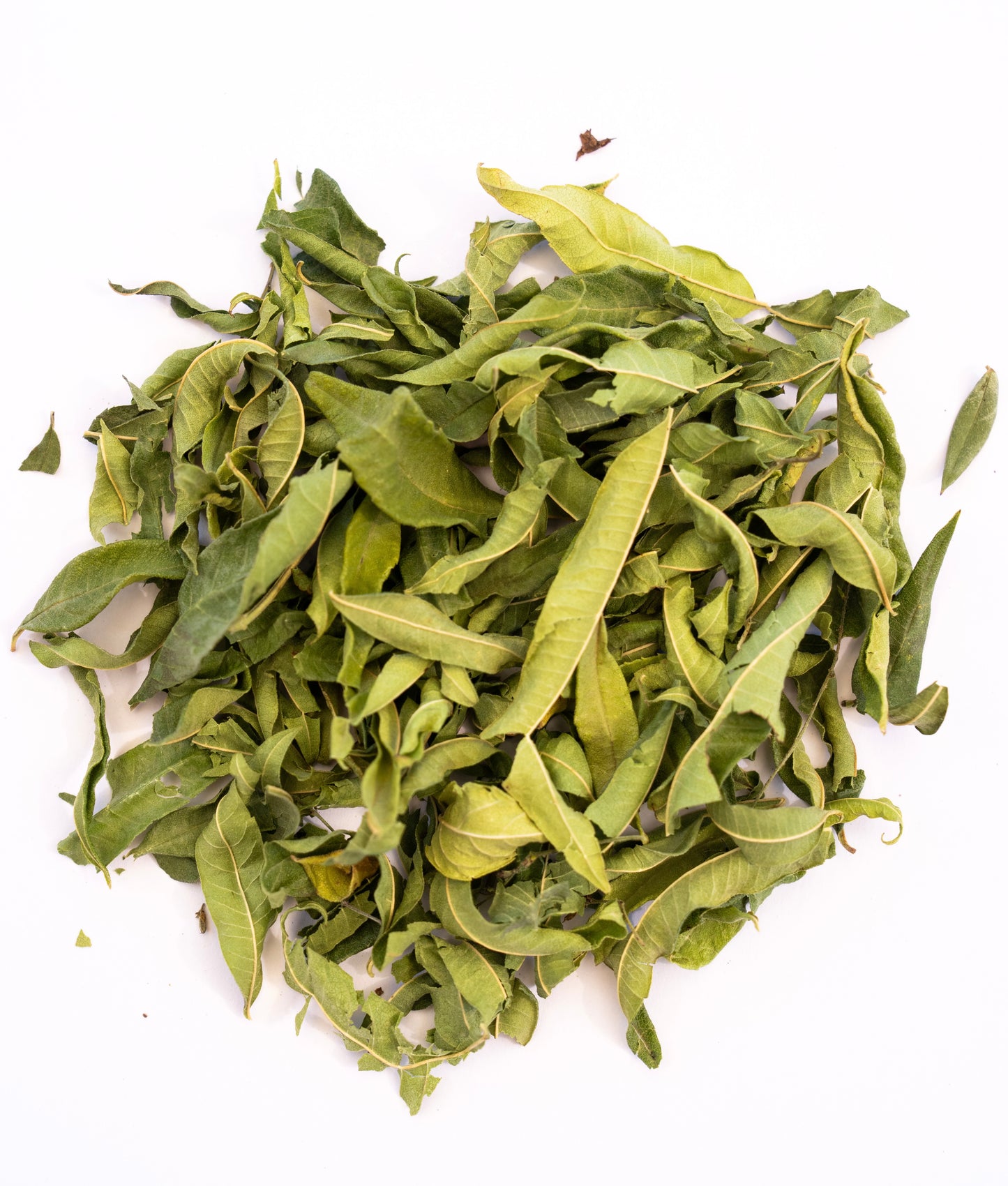Infusion Verveine